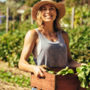 Vegetable Planting in Western Australia