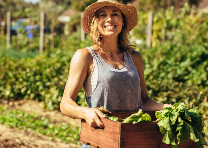 Vegetable Planting in Western Australia