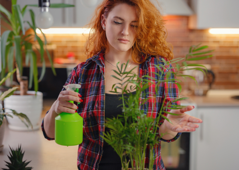 Why Young Adults Are Crazy About Plants