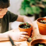 Gardening Projects for Kids