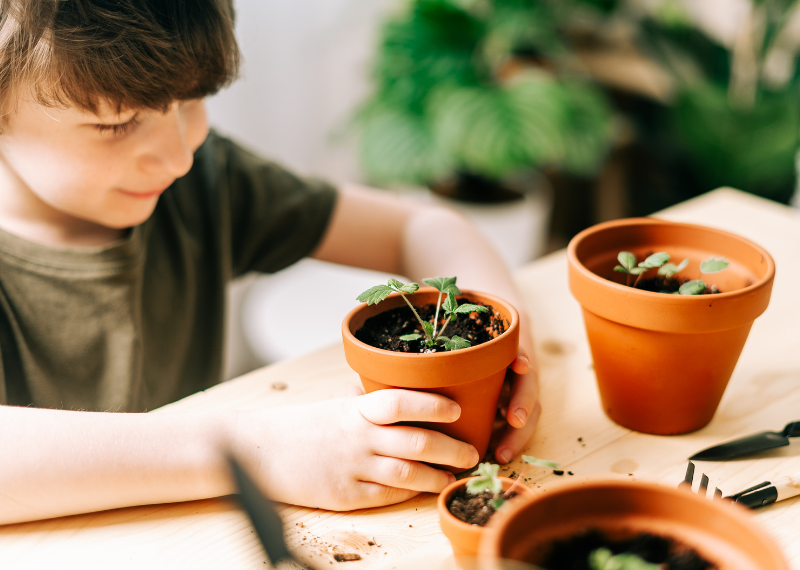 Gardening Projects for Kids