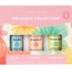 Wellness Collection Essential Oils Organic Trio