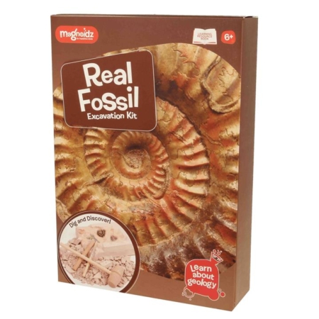 Fossil Dig Excavation Kit