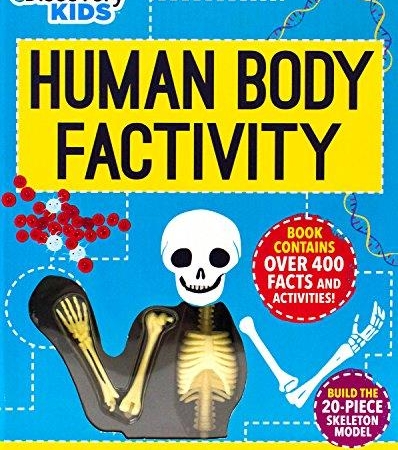 Human Body Factivity