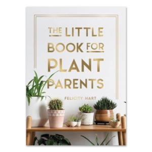 Gifts for Wife