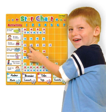 Magnetic Large Family Star Chart