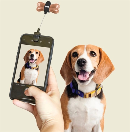 Gifts for Dog Lovers
