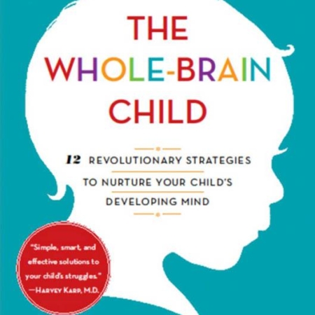 The Whole-Brain Child : 12 Revolutionary Strategies