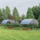 metal chicken coops