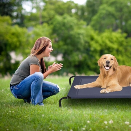 dog bed washable