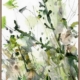 Nature's Way Canvas Art Print