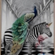 In Wonderland Canvas Art Print