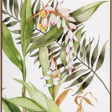 Orcahdia I Canvas Art Print