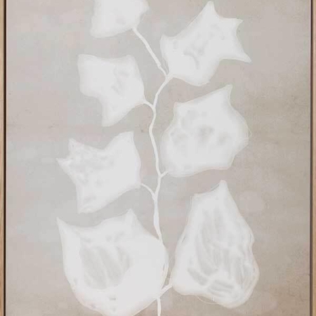 Paper Bark II Canvas Art Print