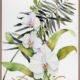Orcahdia II Canvas Art Print