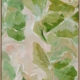 Oakleaf II Canvas Art Print
