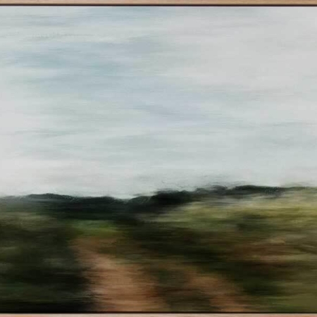 Out West Canvas Art Print