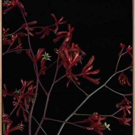 Bounce Canvas Art Print