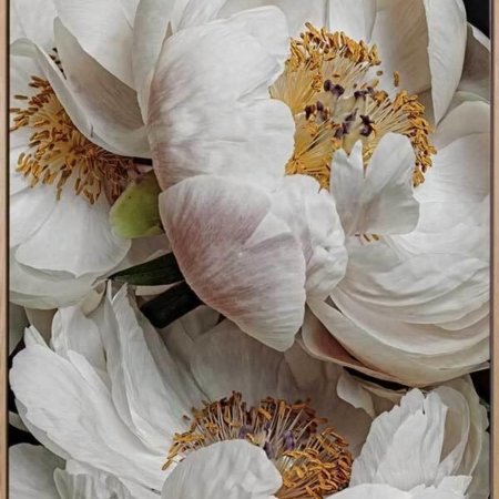 Ivory Atlas Canvas Art Print