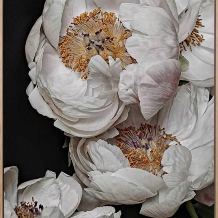 Clair de Lune Canvas Art Print