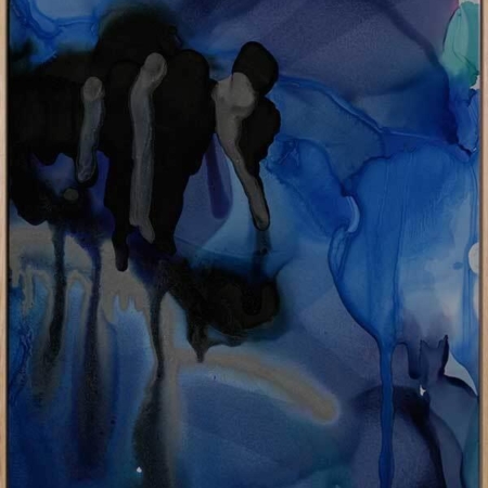 Black Beauty Canvas Art Print