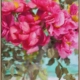 A Hint of Spring Canvas Art Print