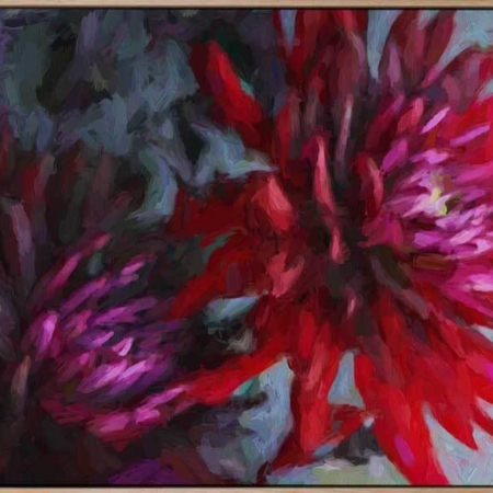 Silent Ruby Canvas Art Print