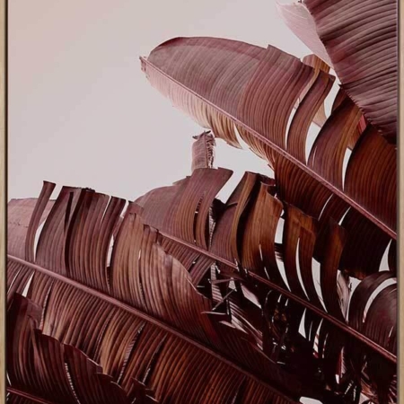 Tequila Sunrise Canvas Art Print