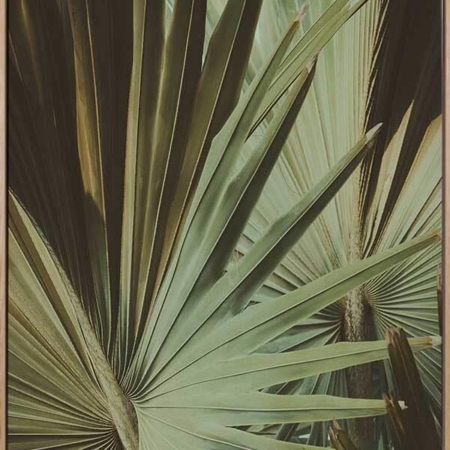 Golden Fan I Canvas Art Print