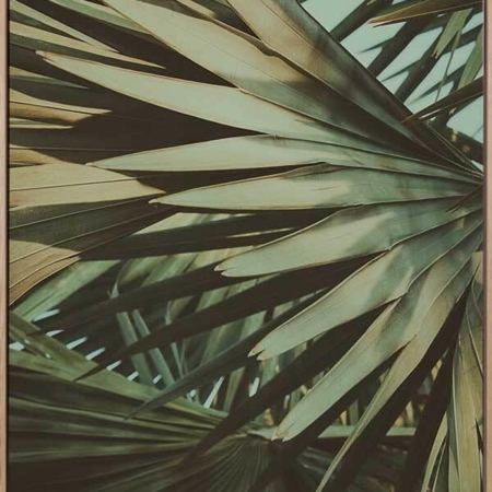 Golden Fan II Canvas Art Print