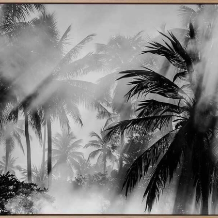 Throw Shade Canvas Art Print