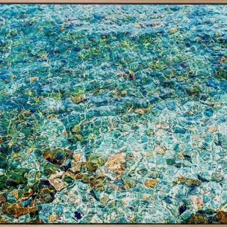 The Shallows Canvas Art Print