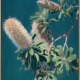 Twilight Banksia Canvas Art Print