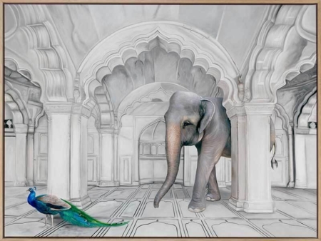 Follow the Leader Canvas Art Print