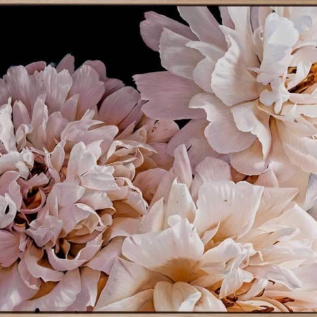 Parisienne Canvas Art Print