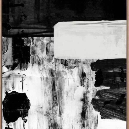 X-Ray Vision I Canvas Art Print