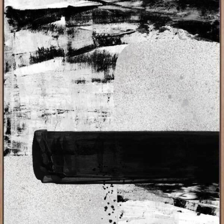 X-Ray Vision II Canvas Art Print