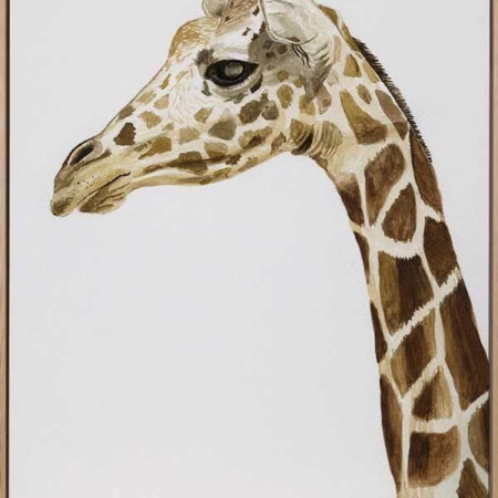 Giraffe1 Canvas Art Print