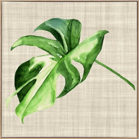 Araceae Canvas Art Print