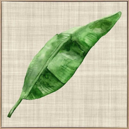 Green Leaf Canvas Art Print