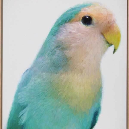 Soft as Feathers Canvas Art Print