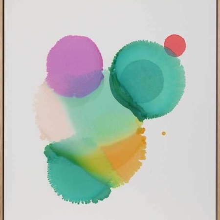 Iris Canvas Art Print