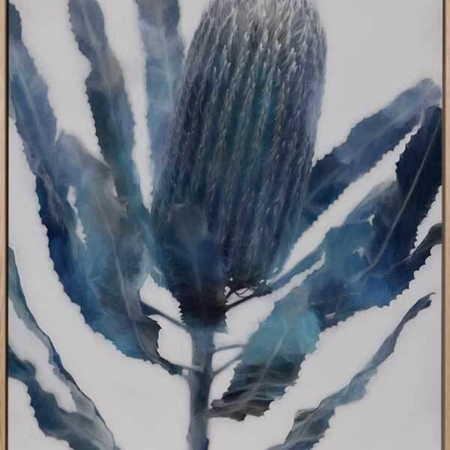 From the Ashes II Canvas Art Print