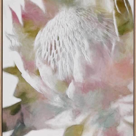 Sugar Bush II Canvas Art Print