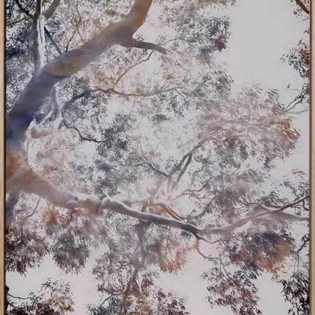 Whispering Jack II Canvas Art Print