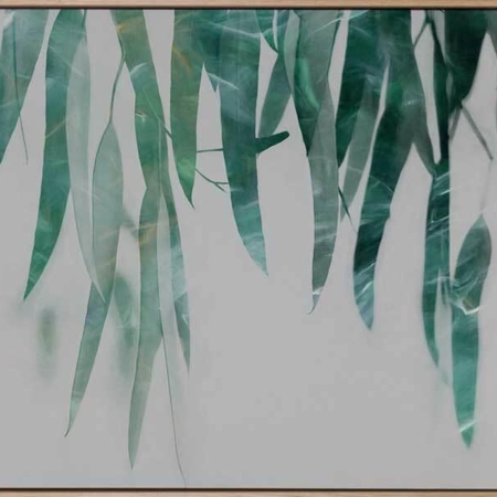 Gum Drop Canvas Art Print