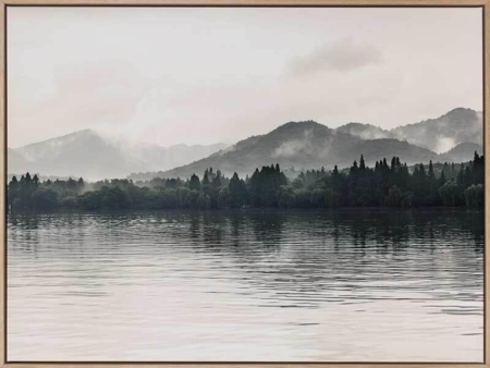 Morning Mist Canvas Art Print