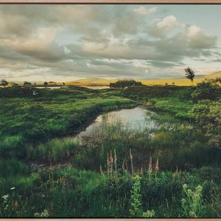 Horizon Canvas Art Print