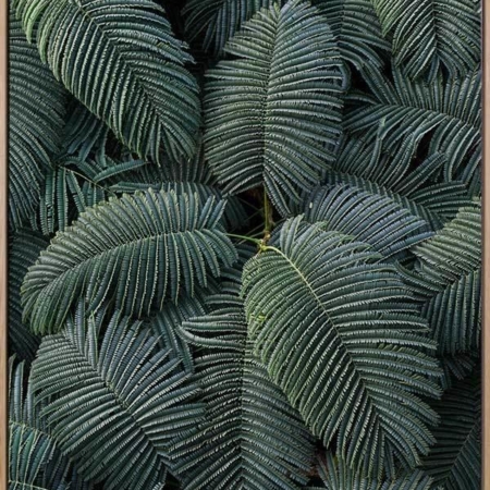 Beyond Canvas Art Print