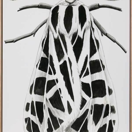 Zenneth Canvas Art Print